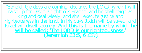 Text Box: “They will have their own ruler again, and he will not be a foreigner. I will invite him to approach me, says the LORD, for who would dare to come unless invited?”
(Jeremiah 30:21 NLT)